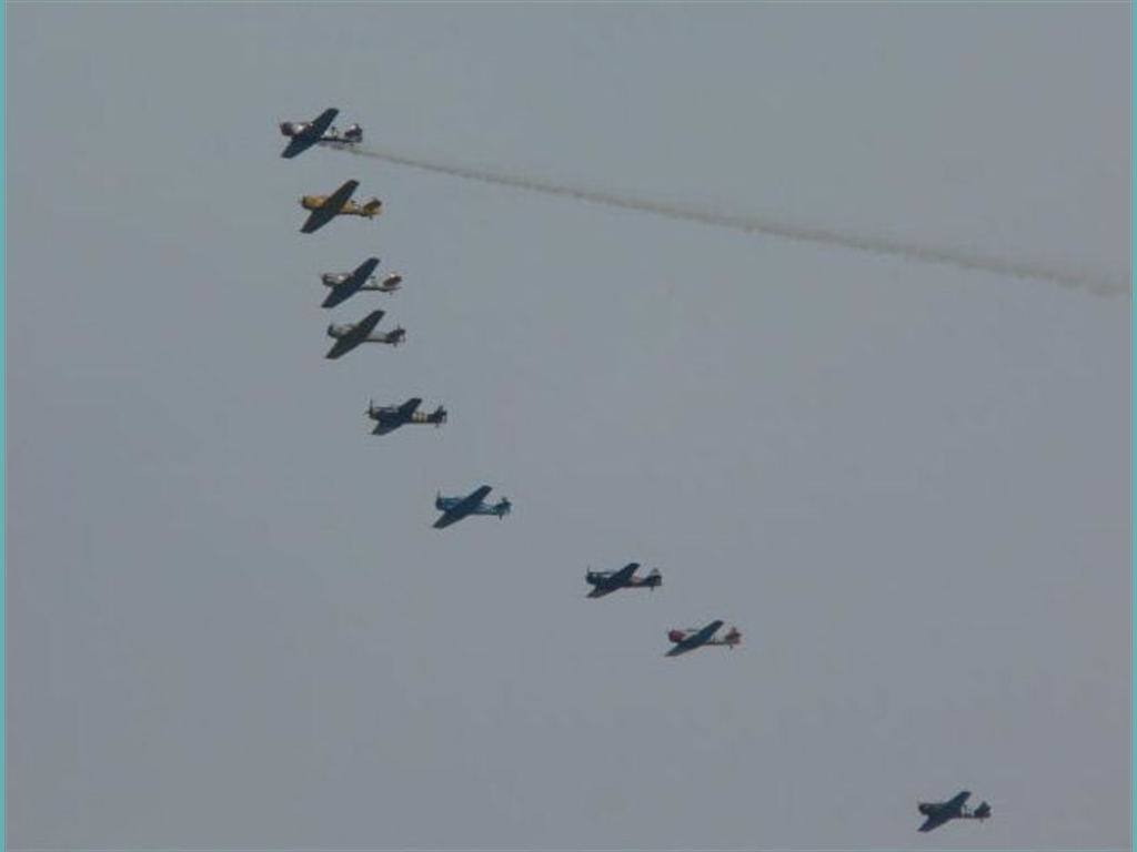 FA (11)_jpg
