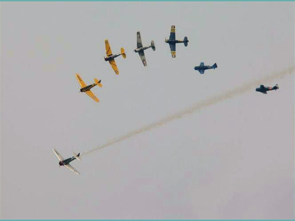 FA (12)_jpg
