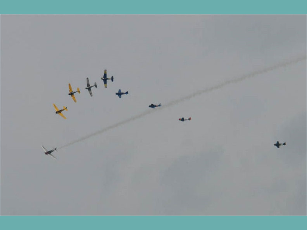 FA (52)_jpg