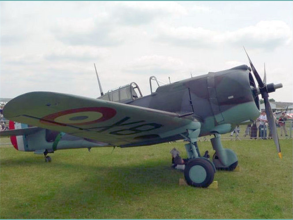 FA (67)_jpg