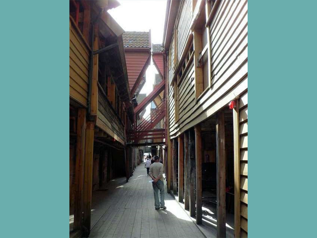 P1050869_JPG